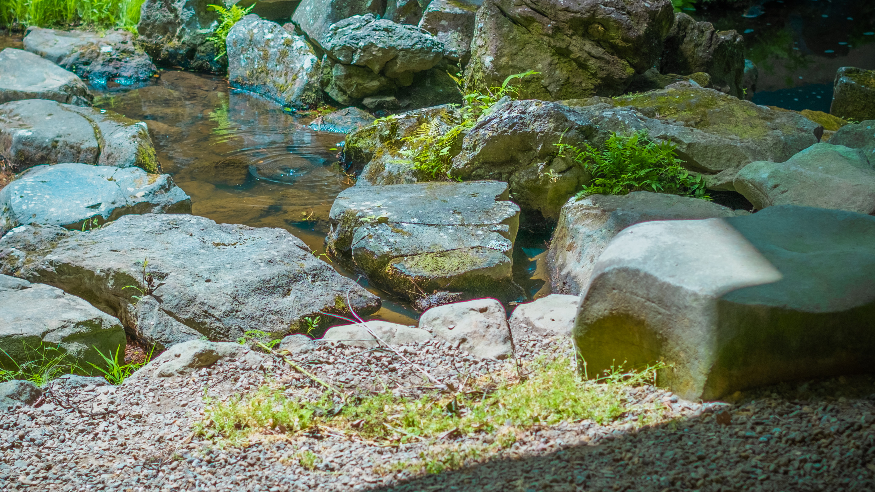 equipments first view